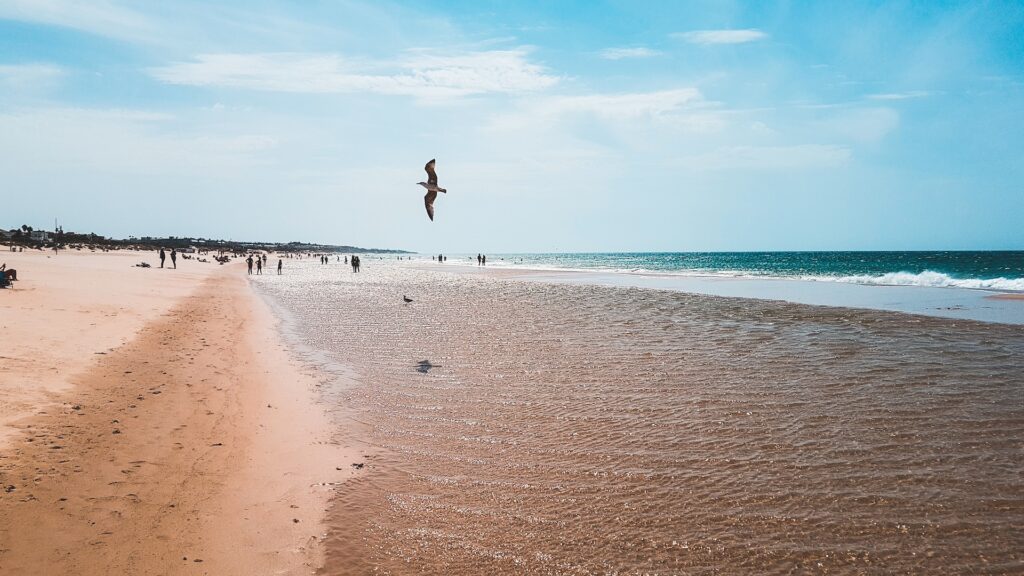 Cerrajero Chiclana de la Frontera Barato 24 Horas